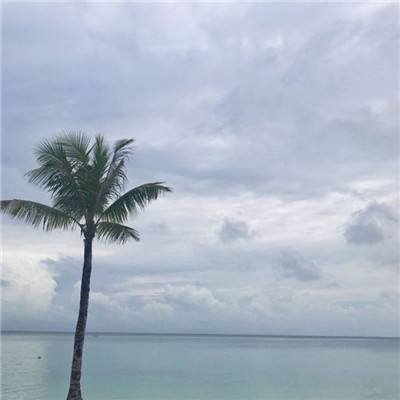 超能战鸡内购破解版下载