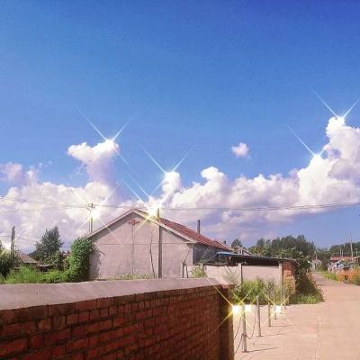 量子特工国际版