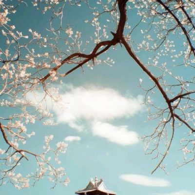 三十七计满v版手游下载